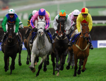 international-horse-racing